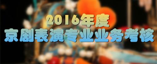 我操日逼国家京剧院2016年度京剧表演专业业务考...